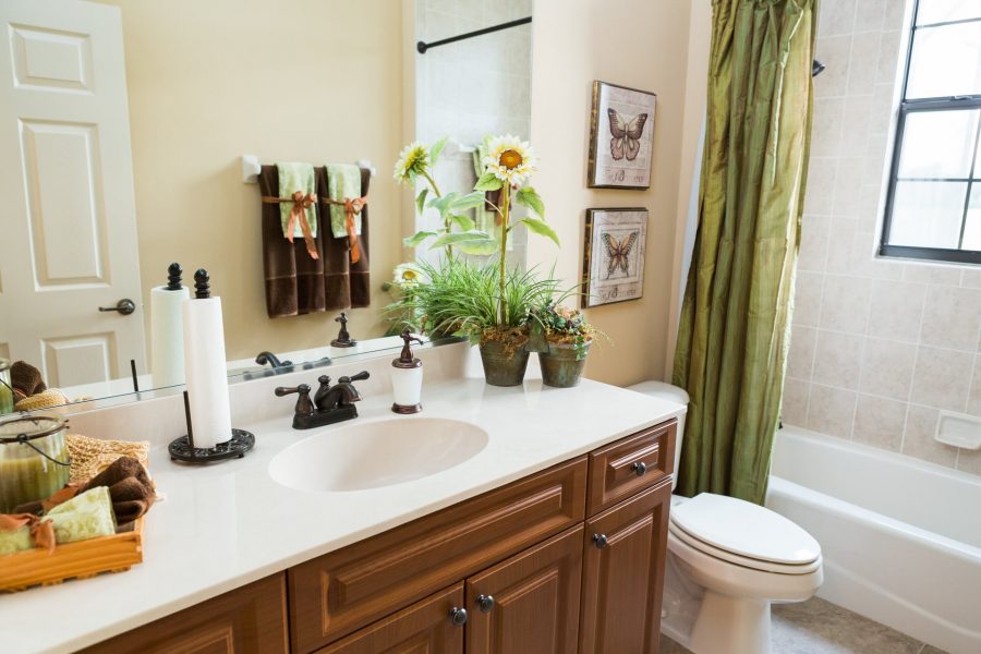 Windemere - Guest Bathroom - Curington Homes - Ocala Florida Contractor