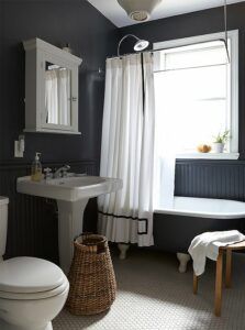 Raccoon Fur from Benjamin Moore